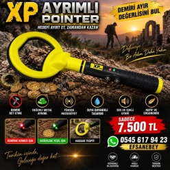 max x1, ayrımlı pointer,
